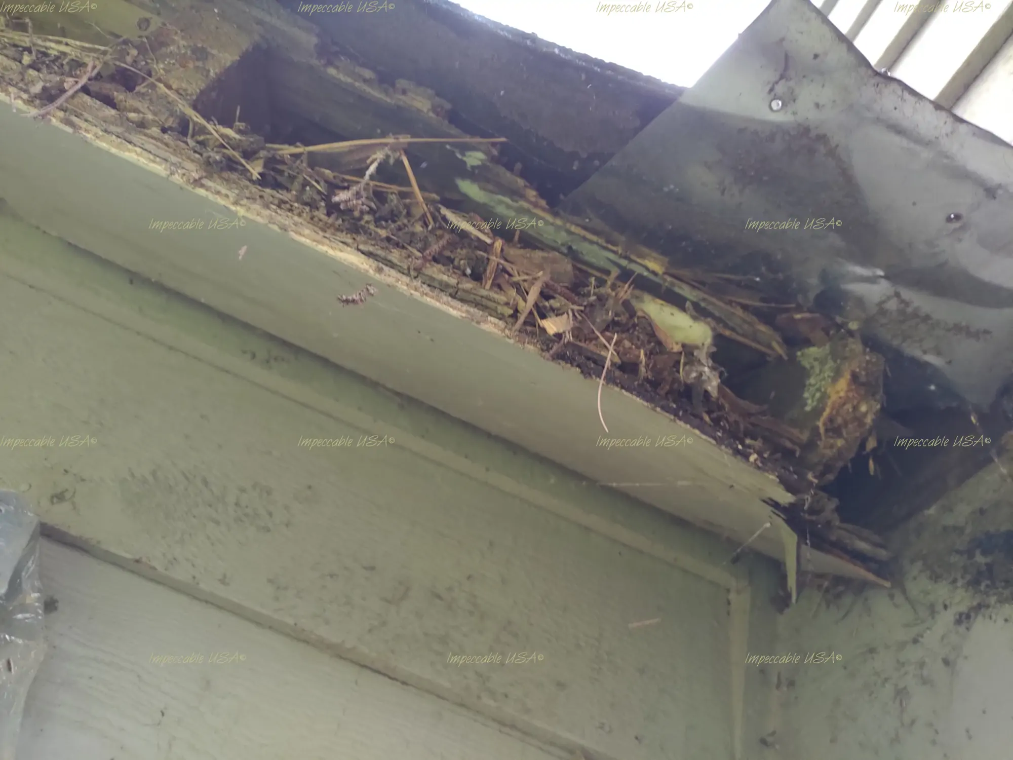 gutter